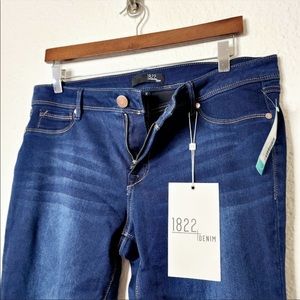 1822 Denim x Stitch Fix Wynter Skinny Jeans Size 14/32 Dark Wash NWT